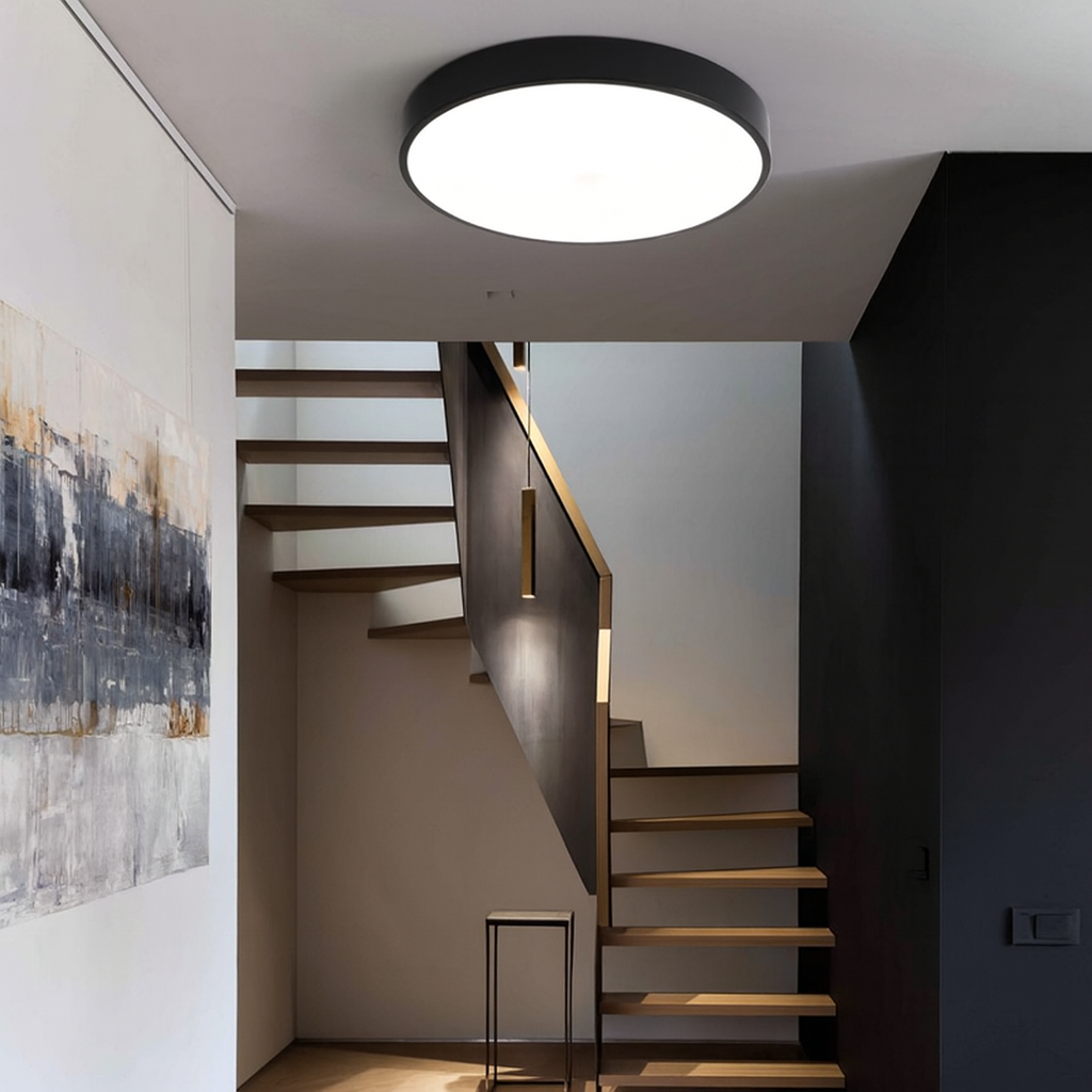 Стельовий світильник чорний у розмірах D-30/40/50/60 cm Led Black Circle 251048-100006297