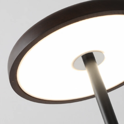 Торшери з пультом управління H-130 cm D-25 cm Led Black+Brown Marfa 260758-100008335