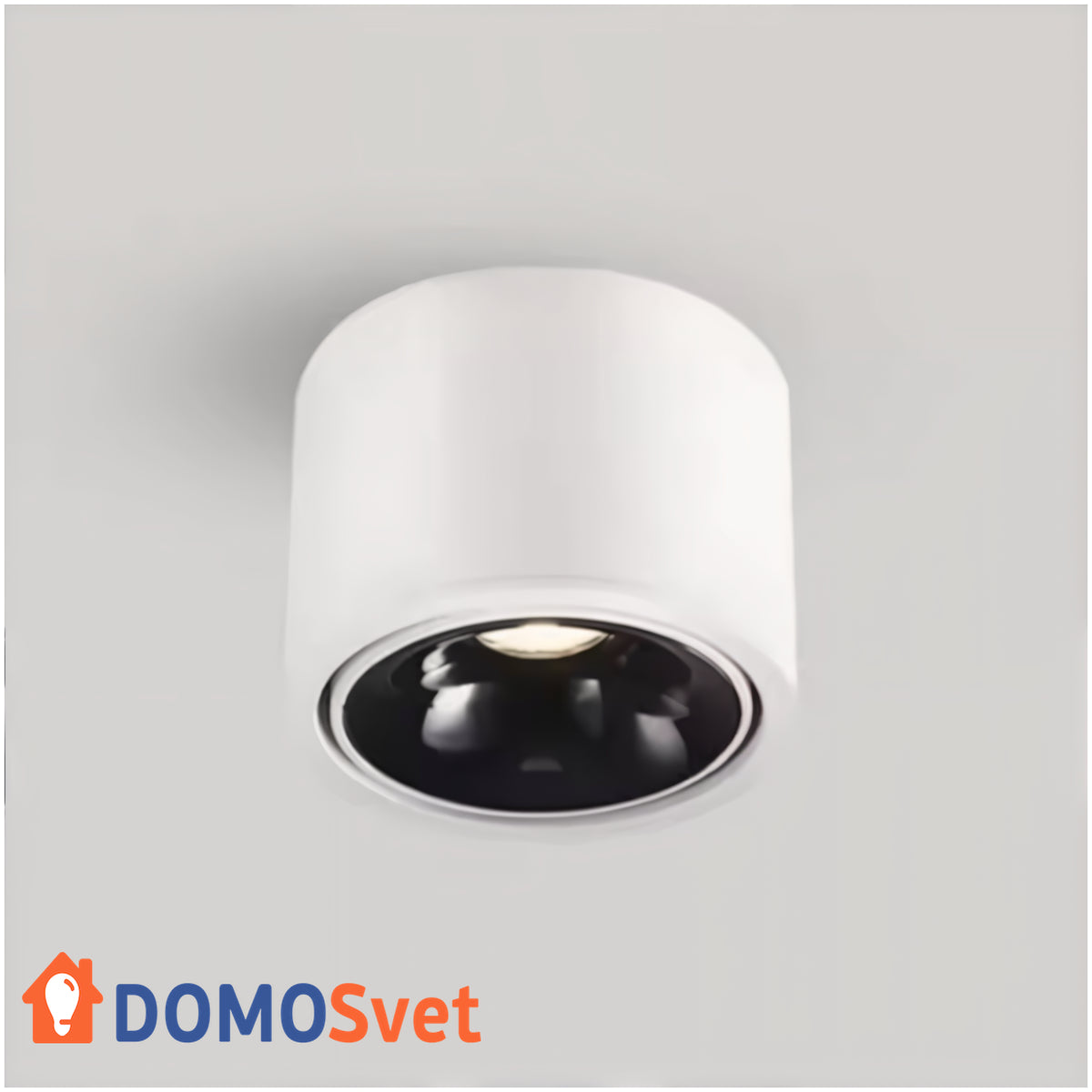 Точковий Світильник White&Black Domosvet Design 24103-235627