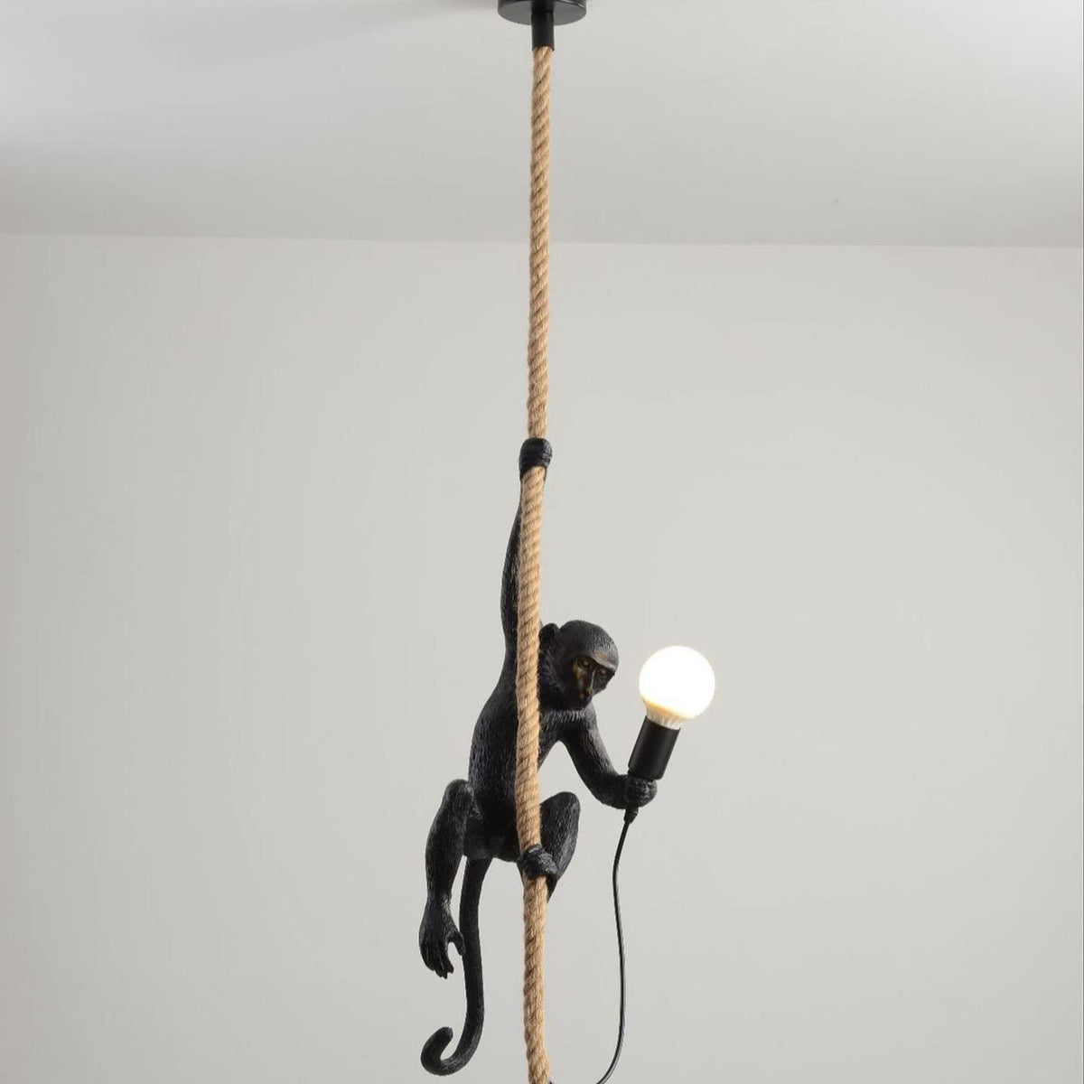 Підвіс Black Monkey Е27 220531-100000781