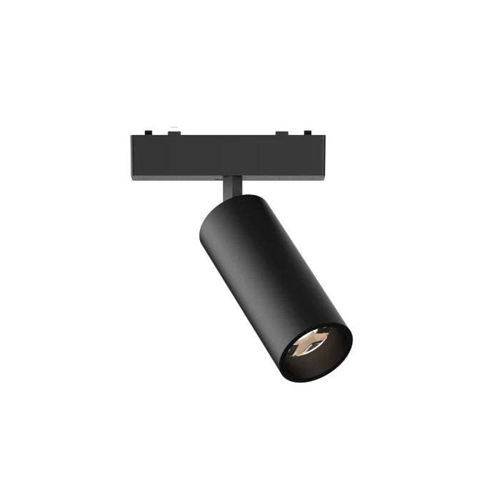 Магнітний профіль DOMOSVET