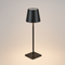 Настільна лампа чорна акумуляторна RGB H-38 cm Led T Lamp Black 251031-100006275