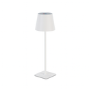 Настільна лампа біла акумуляторна RGB H-38 cm Led T Lamp White 251031-100006276