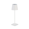 Настільна лампа біла акумуляторна RGB H-38 cm Led T Lamp White 251031-100006276