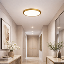 Світильник золотий стельовий D - 29 cm / 39 cm Gold Circle 260140-100007022