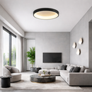 Стельовий світильник Ceiling L D-80 см Н-11 см 60W 4000K Black / White 240126-100003021