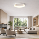 Стельовий світильник Ceiling L D-80 см Н-11 см 60W 4000K Black / White 240126-100003021