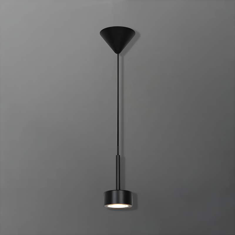 Підвісний світильник Clyde H-28cm LED 5W Black 25059-100004976