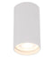 Точковий світильник білий H-10 cm GU10 White Gofre 250940-100006107