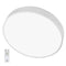 Стельовий світильник білий з пультом D-30/40/50 cm Led + RGB White Circle 251048-100006298
