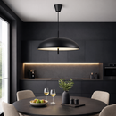 Люстра підвісна чорна з плафоном куполом D-49,5 cm E27x2 Black Dome lamp 25129-100006891