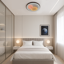 Люстра стельова світлодіодна D-30 cm Led 50W White + Grey Universe 2 center spheres 251253-100006769