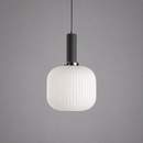 Підвісні світильники D-15 cm / D-20 cm / D-30 cm E27 White Black Garden lamp 260822-100008756