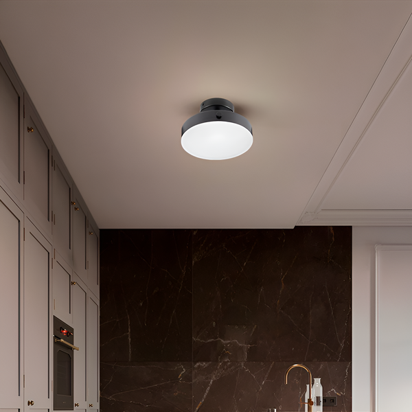 Стельовий світильник Ceiling 18W D-20cm Black 250577-100004890