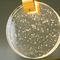 Люстра Coins 27W Gold + Clear 250476-100004589