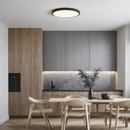 Світильники чорні стельові D-29 cm / D-39 cm Led 4000K Black Circle 260140-100007163