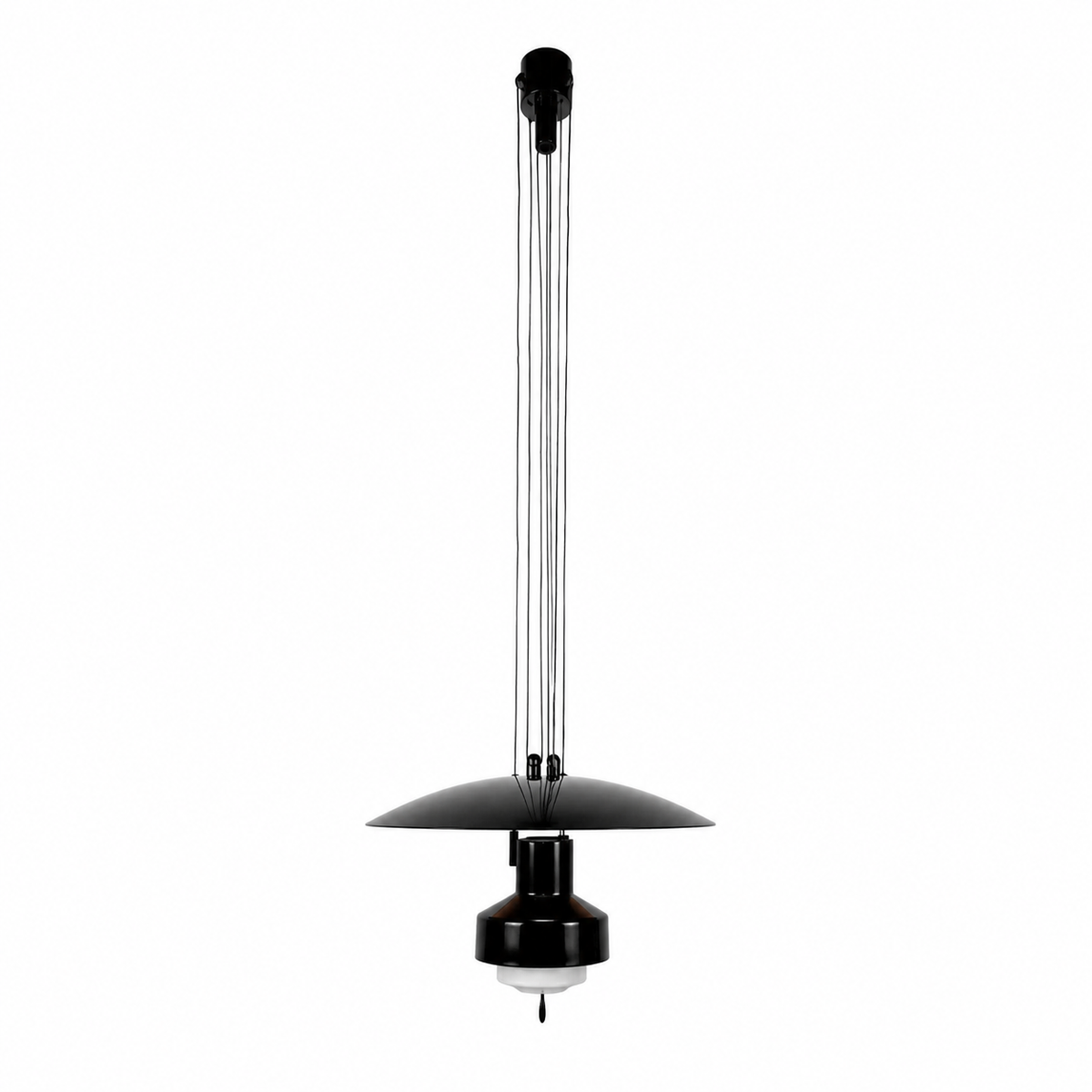 Підвісний світильник D-42 cm Led 14W 3000K-6000K Black+White Flamingo 260518-100007937