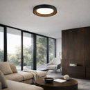 Стельова люстра чорна D-50 cm Led Black+Wood Round 260322-100007630