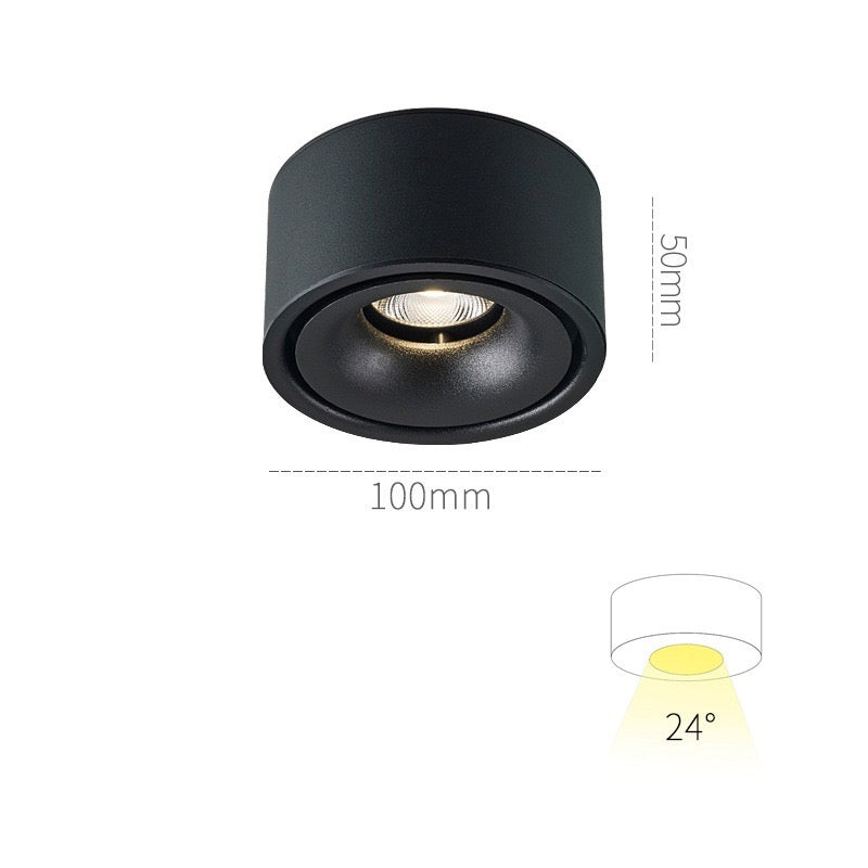 Точковий світильник Landon Smart Led Н-5,3 см W-10 4100К Black / White 240142-100003004
