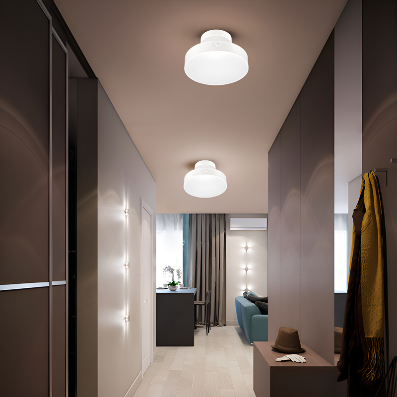Стельовий світильник Ceiling 18W D-20cm White 250577-100004893