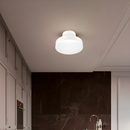 Стельовий світильник Ceiling 18W D-20cm White 250577-100004893