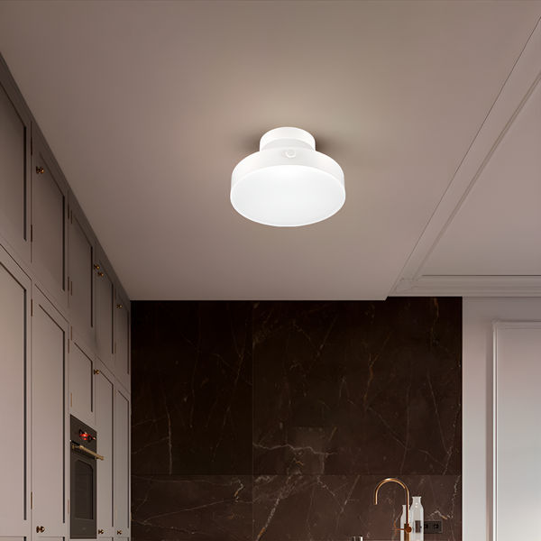 Стельовий світильник Ceiling 18W D-20cm White 250577-100004893