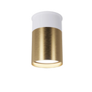 Точковий спот накладний білий з золотом White+Gold Superloop 250733-100005597