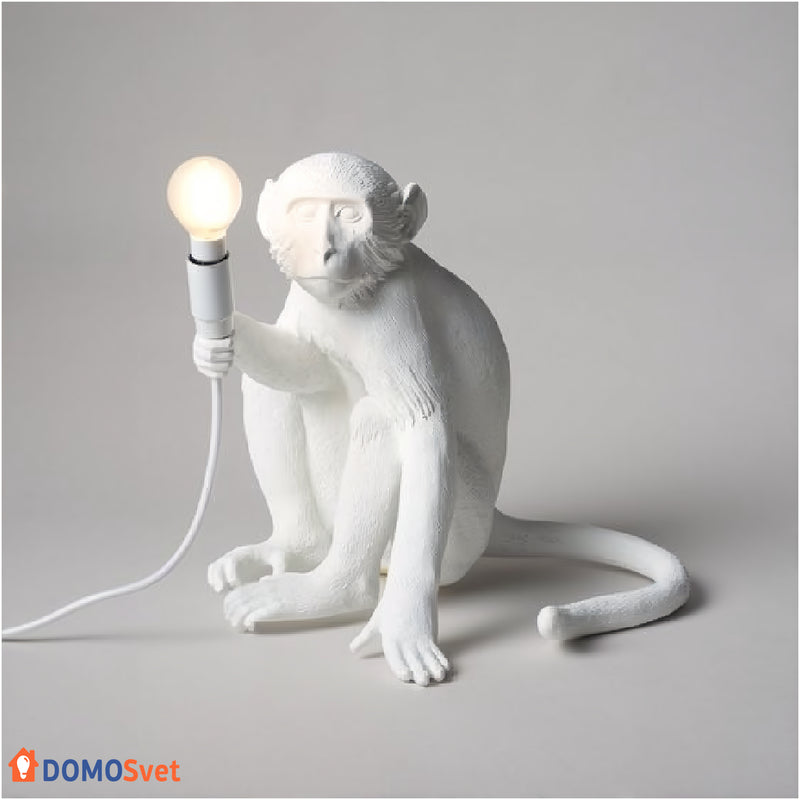 Настільний Світильник Monkey Domosvet Design 24053-228942