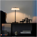 Настільна Лампа Holly Lamp Domosvet Design 250914-241497