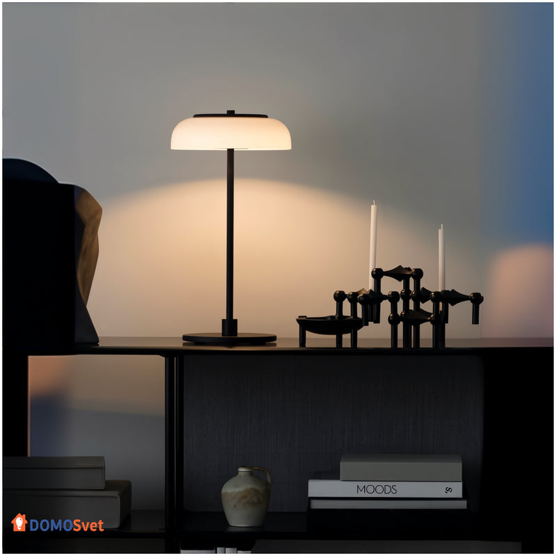 Настільна Лампа Holly Lamp Domosvet Design 250914-241497