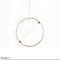Люстра Aria Led Lamp Domosvet Design 250914-241507