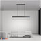 Підвісна Люстра Line Led Lamp Domosvet Design 250914-241607