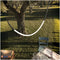 Люстра Saga Lemp Lamp Domosvet Design 250914-241741