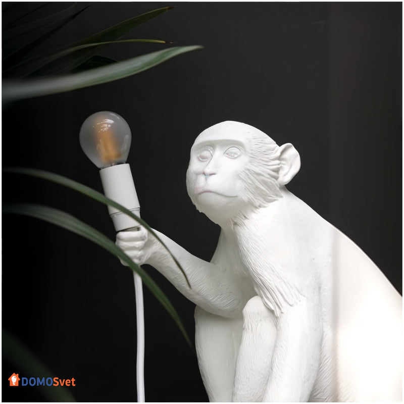 Настільний Світильник Monkey Domosvet Design 25103-244062