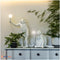 Настільний Світильник Monkey Domosvet Design 25103-244062