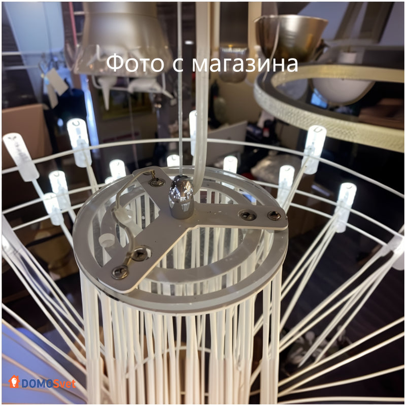 Люстра Led Insect Domosvet Design 25103-244122
