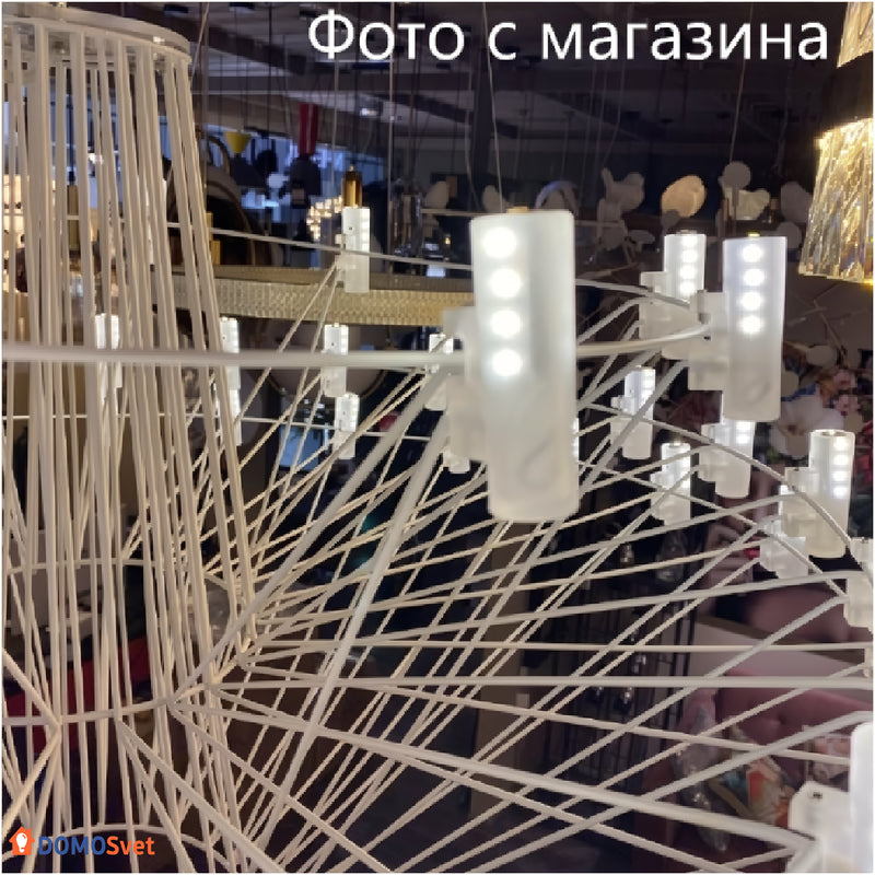 Люстра Led Insect Domosvet Design 25103-244122