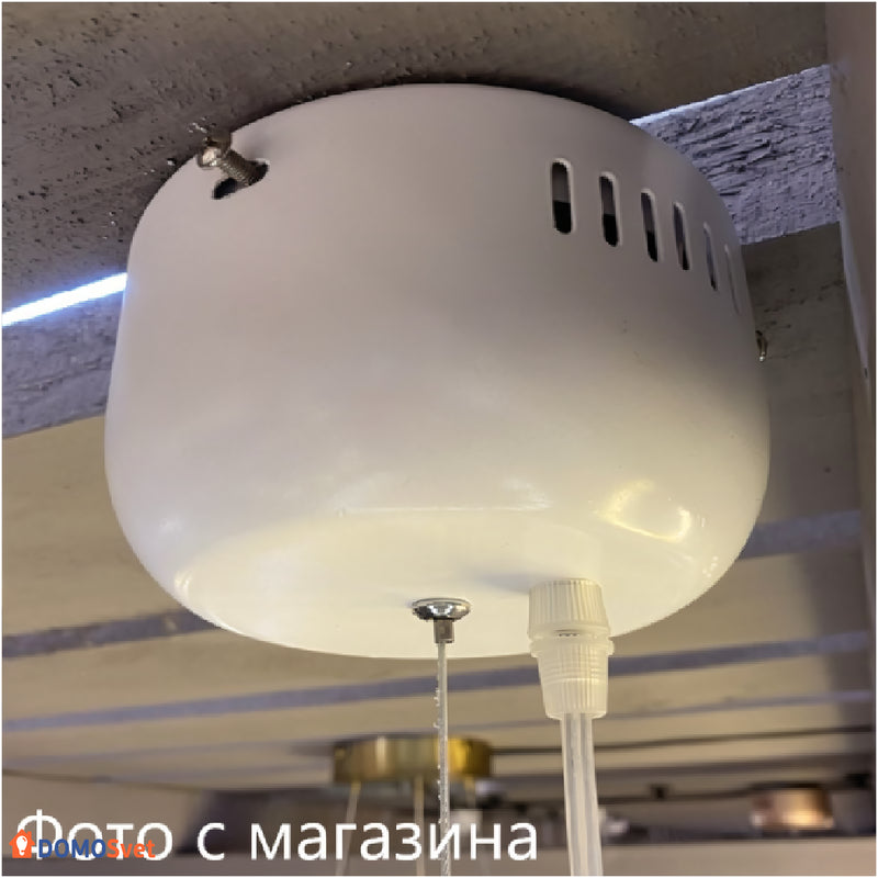Люстра Led Insect Domosvet Design 25103-244122