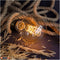Лампа Едісона Spiral G80 40w E27 Domosvet Design 25103-244215