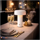 Настільна Лампа Domina Light Domosvet Design 260814-249087