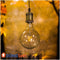 Лампа Едісона Led G125 6w 1800k Диммована Domosvet Design 21053-34814