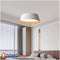 Люстра More Lamp Domosvet Design 230114-57268