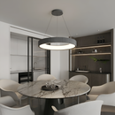 Підвісні люстри сірі D-40 cm / D-50 cm Led 3000K-6500K Grey 260322-100007622