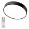 Стельовий світильник чорний з пультом D-30/40/50 cm Led + RGB Black Circle 251048-100006297