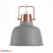 Підвіс Стельовий Grey Bronze Domosvet Design 25053-240557
