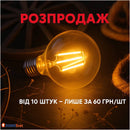 Лампа Едісона Led G80 6w 1800k Диммована Domosvet Design 25103-243588