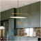 Підвісний Світильник Led Levitation Domosvet Design 25103-244126