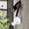 Настільна лампа Funny cat Black / White H-18 см W-15 см 3000К 240258-100003075