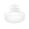 Стельовий світильник Ceiling 18W D-20cm White 250577-100004893