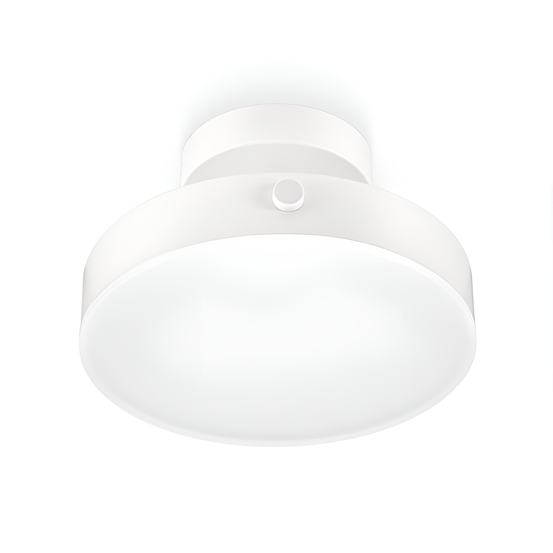 Стельовий світильник Ceiling 18W D-20cm White 250577-100004893
